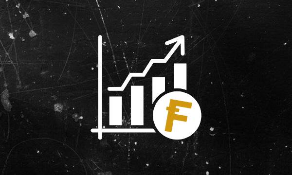 Flokicoin's economy and inflation rate
